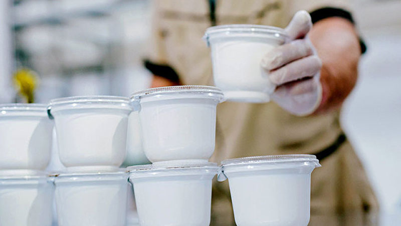 производство йогурта